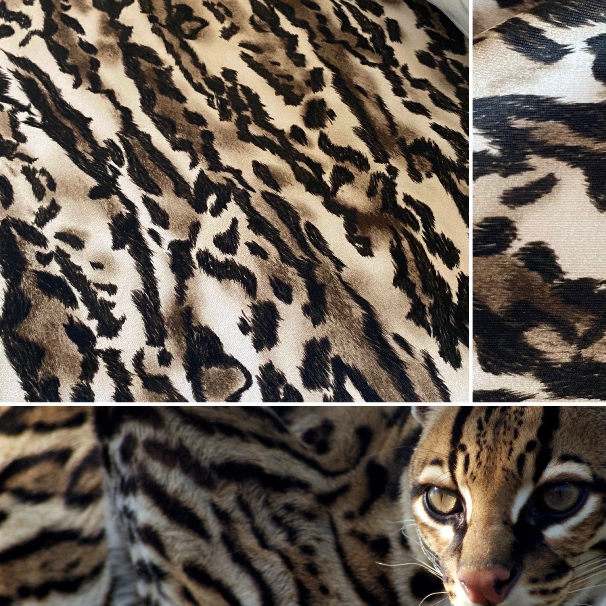 Ocelot / Leopard Animal Print Nylon Lycra Swim Fabric - 1m
